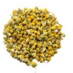 chamomile