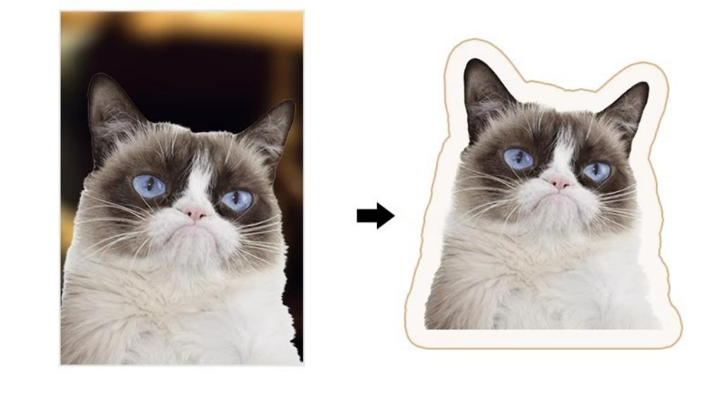 custom cat face pillows