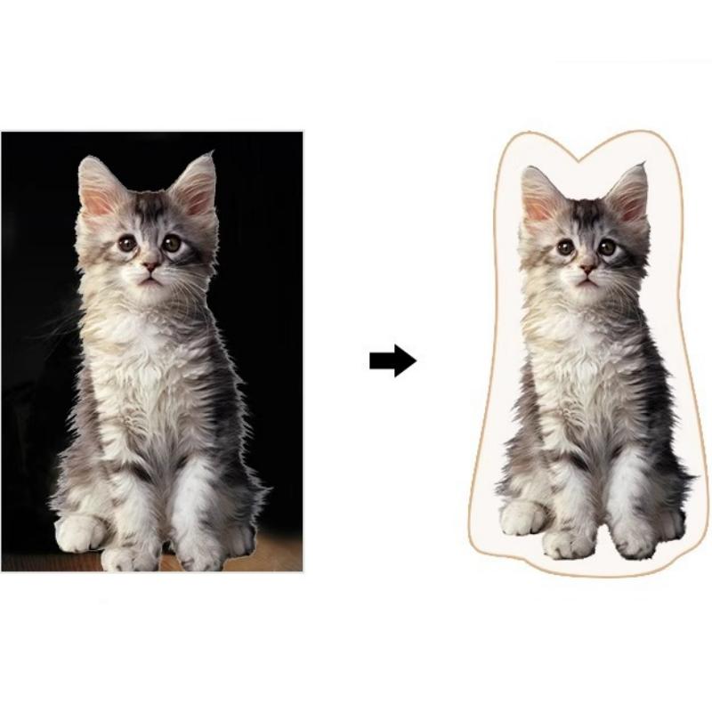 custom cat pillow from photo