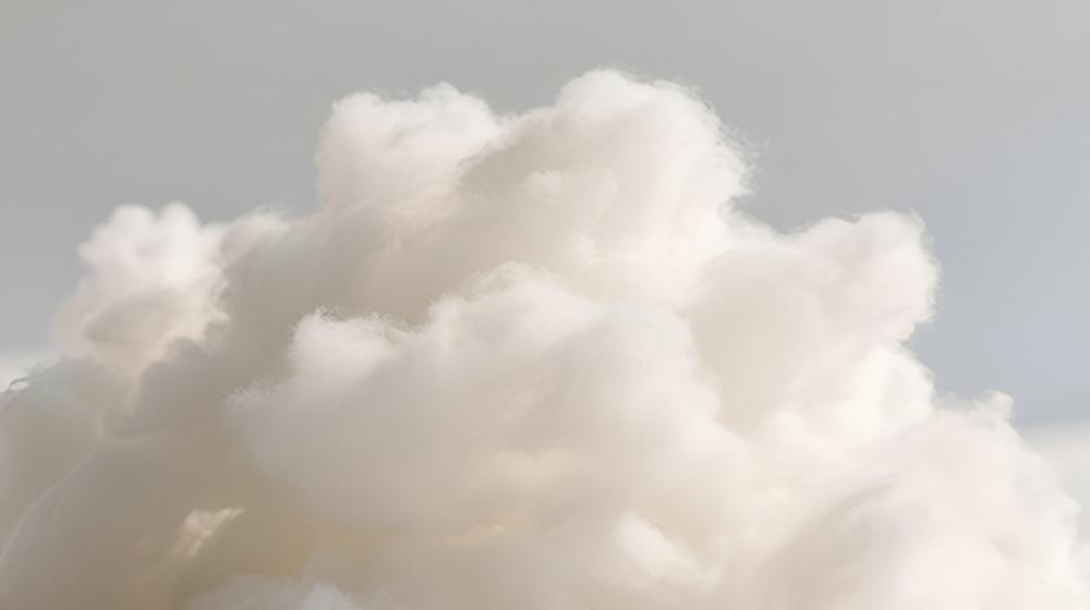 custom cat pillows filling