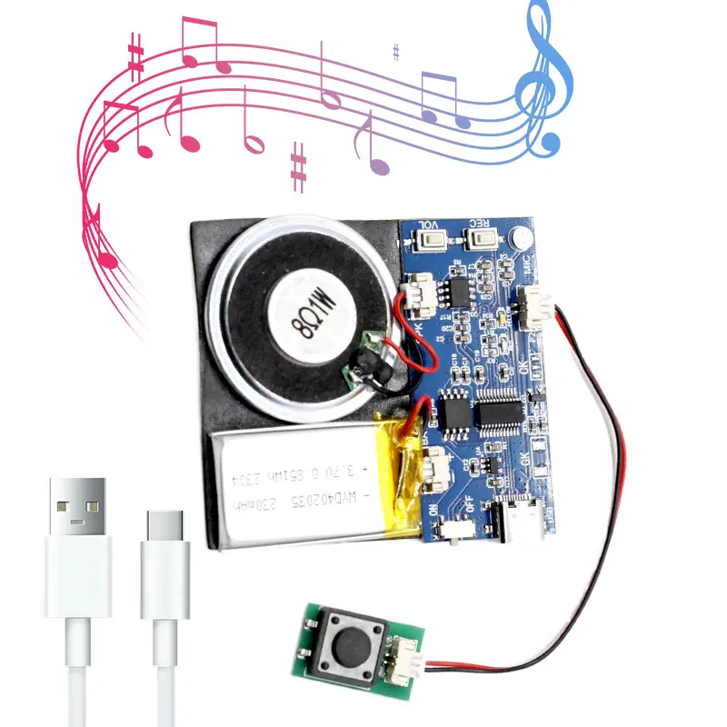 Recording Module for plush toy
